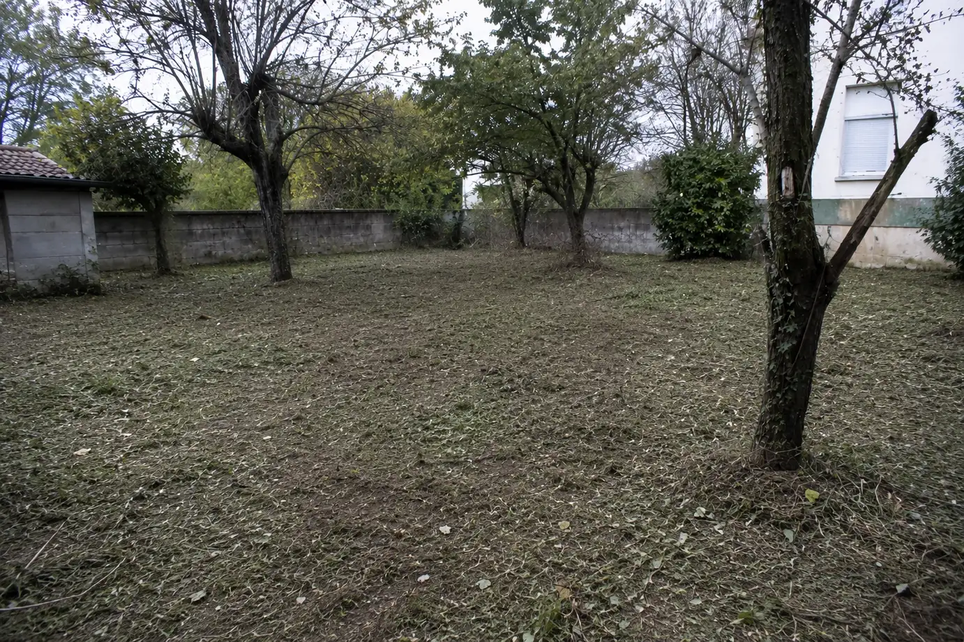 Terrain après débroussaillage
