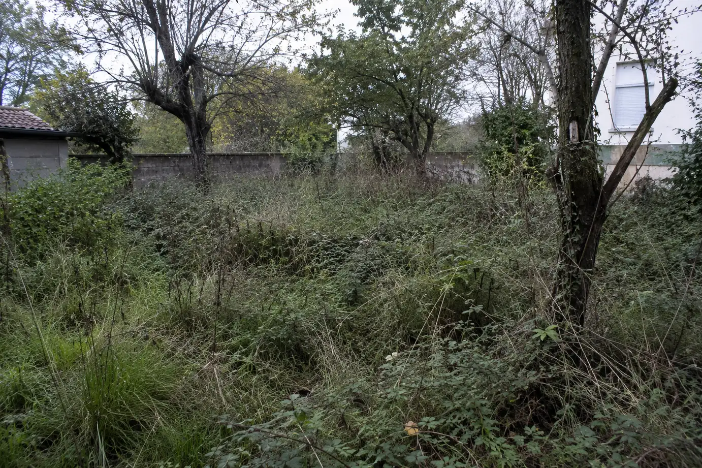 Terrain avant débroussaillage
