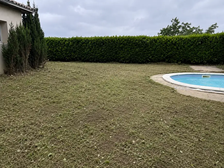 Jardin après remise au propre