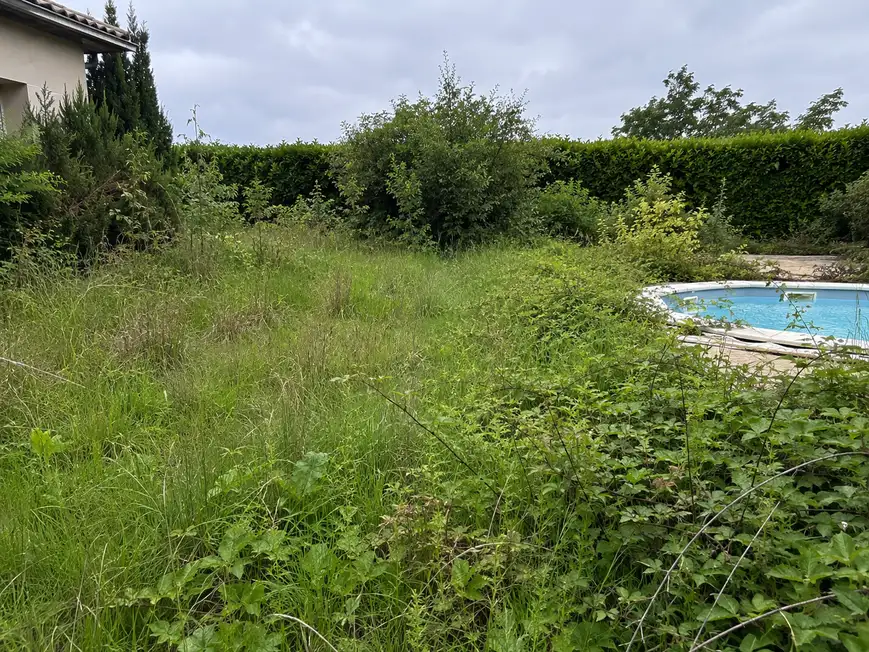 Jardin à l'abandon avant remise au propre