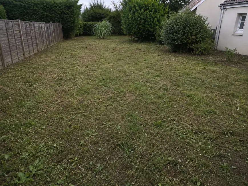 Terrain après débroussaillage