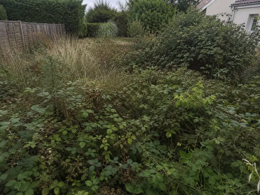 Terrain en friche avant débroussaillage