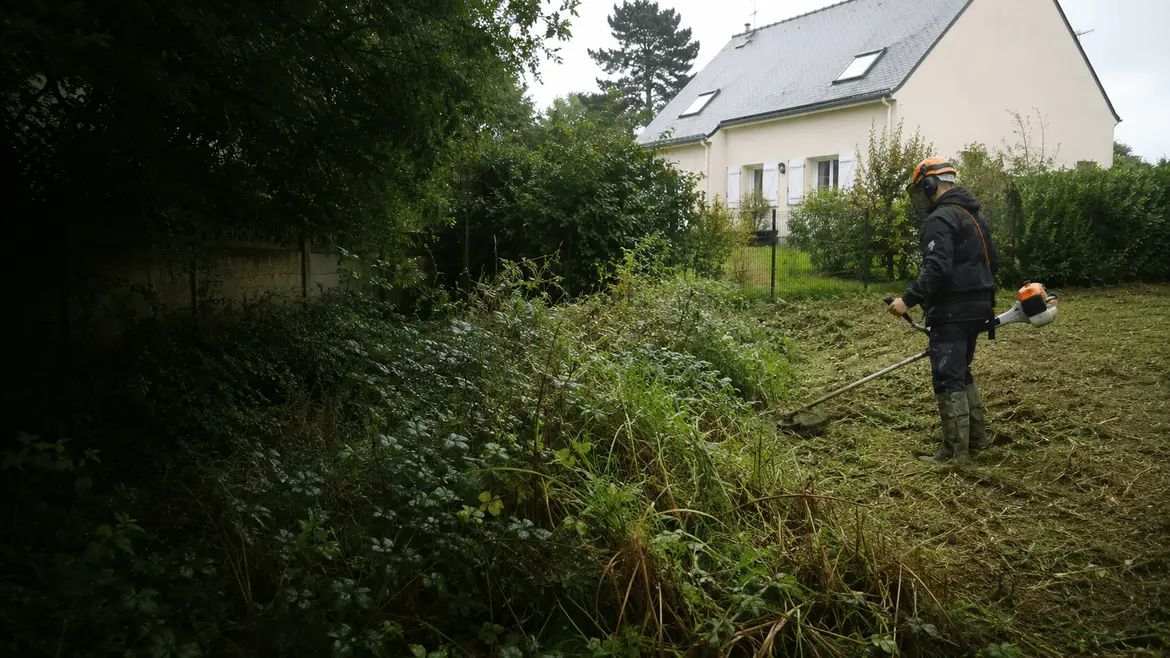 Débroussaillage d'un terrain en friche à Rennes par Terra Paysage