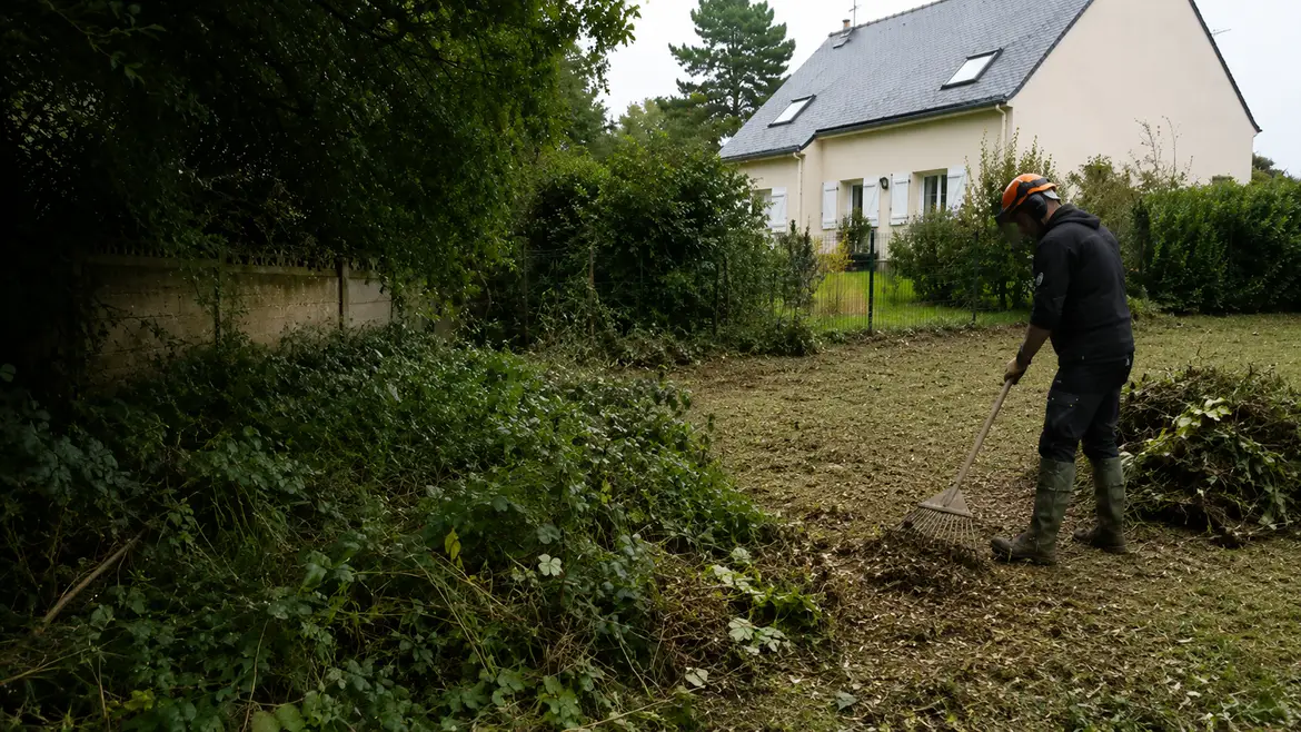 Remise au propre d'un jardin en Ille-et-Vilaine par Terra Paysage
