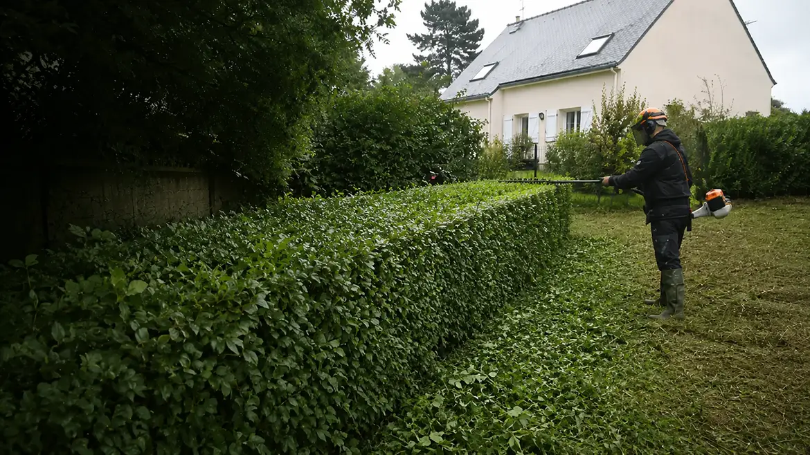 Taille de haies et d'arbustes en Ille-et-Vilaine par Terra Paysage
