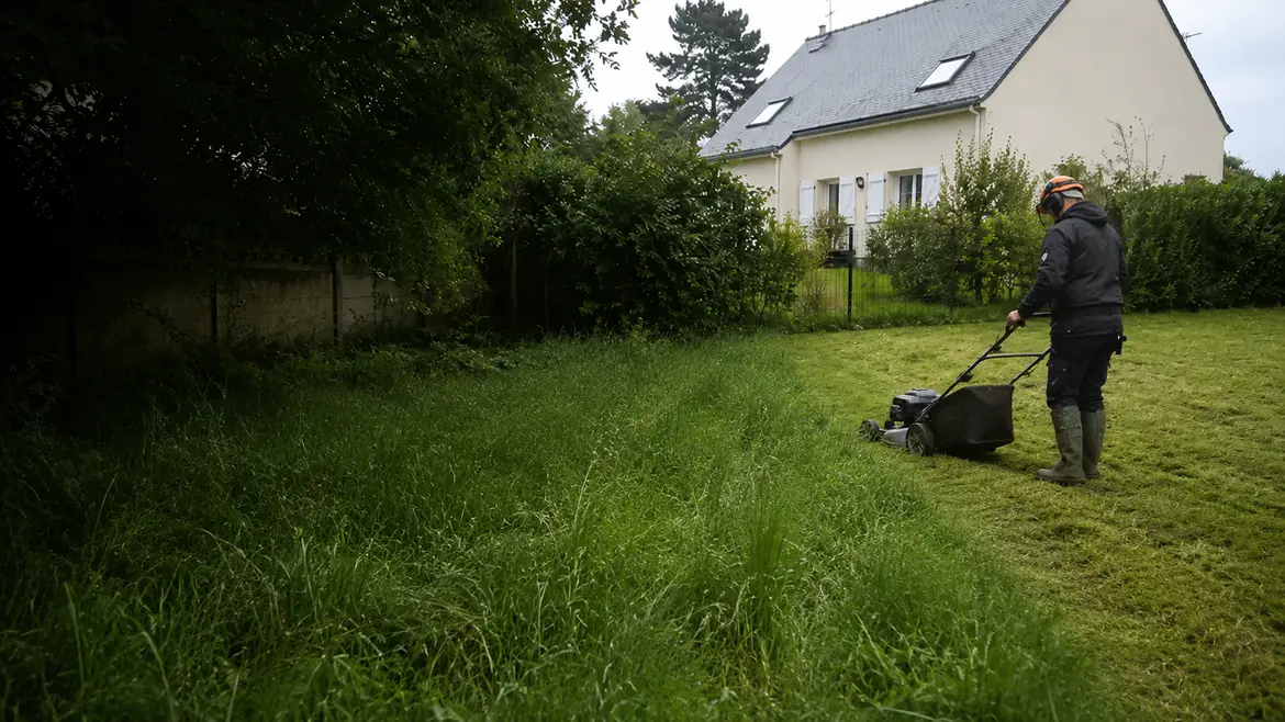 Tonte de pelouse réalisée en Ille-et-Vilaine par Terra Paysage