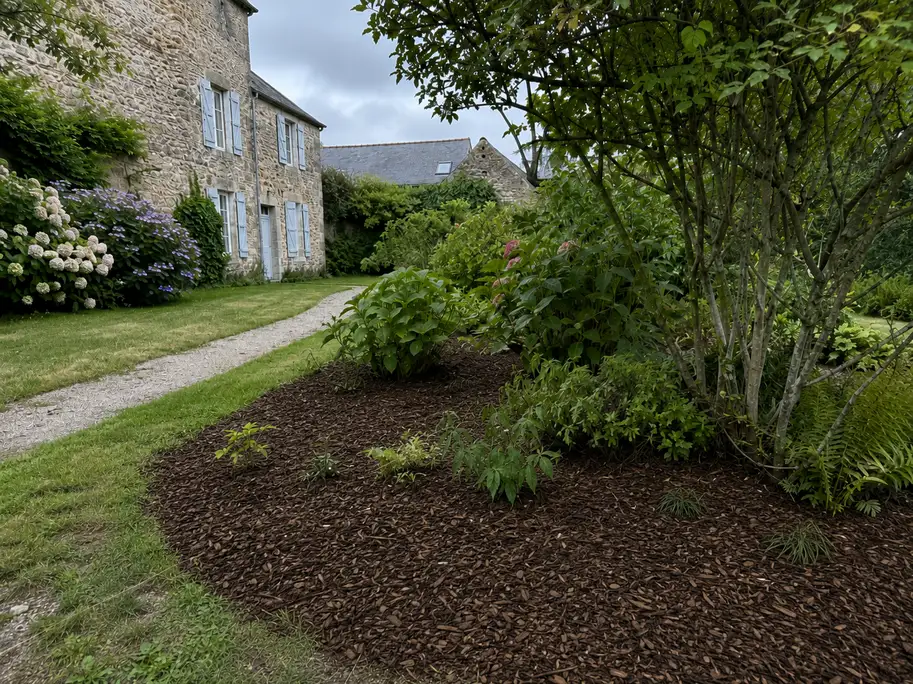 Pied de haie après la pose d'un paillage à Chantepie