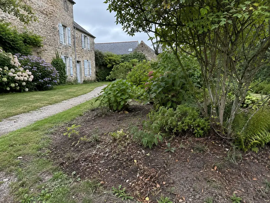 Pied de haie avant la pose d'un paillage à Chantepie