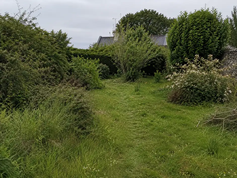 Jardin envahi avant une remise au propre en Ille-et-Vilaine