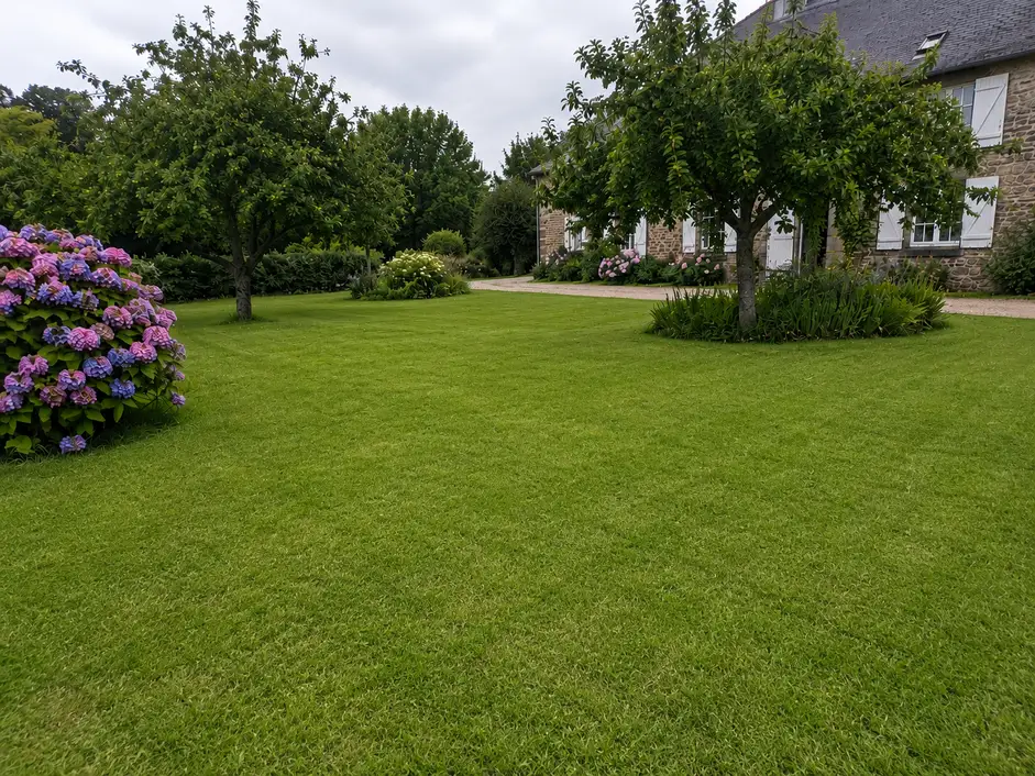 Jardin après tonte de pelouse et finitions à Chantepie