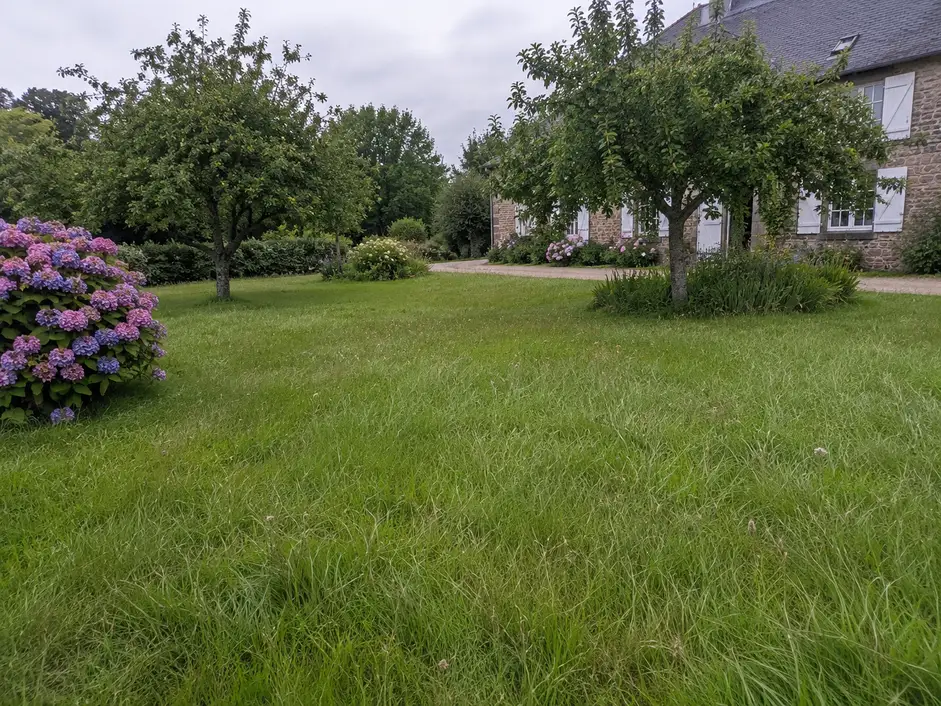 Jardin avant une intervention de tonte de pelouse à Chantepie