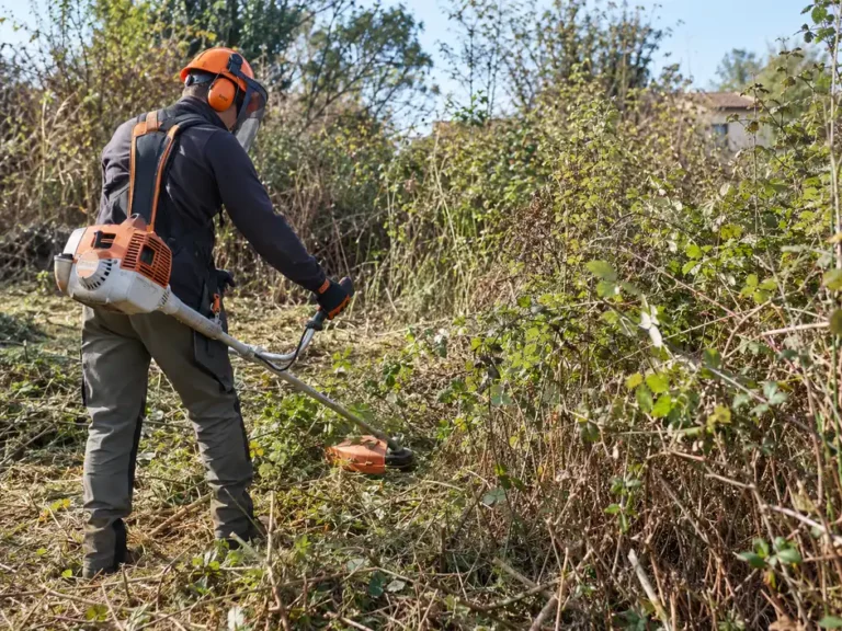 comment-debroussailler-un-terrain