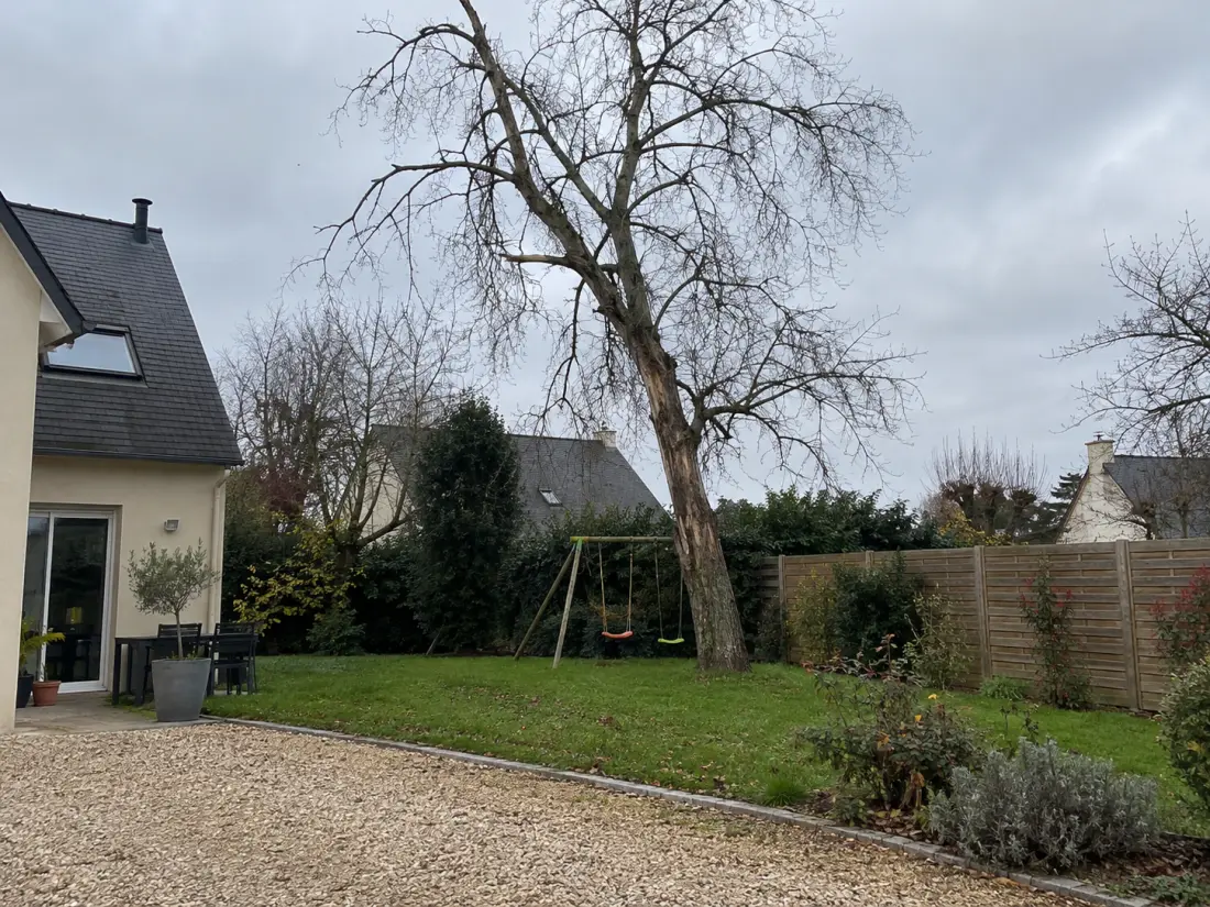 Arbre mort dans un jardin avant abattage