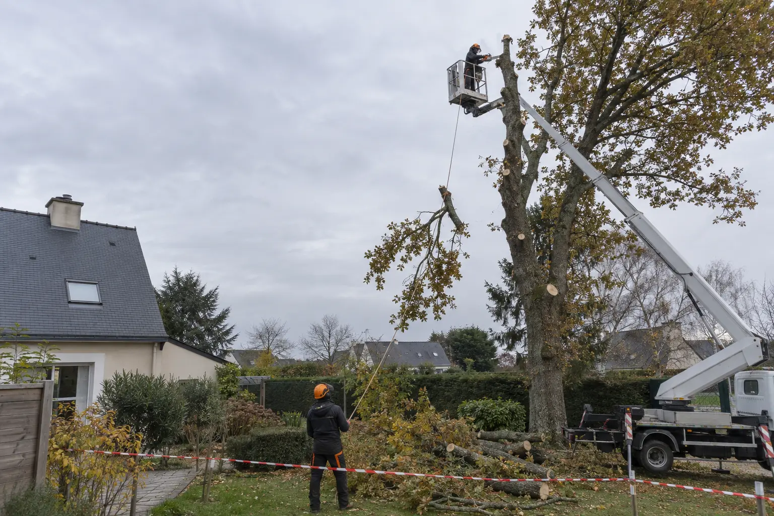 Abattage d'arbre à la nacelle à Rennes