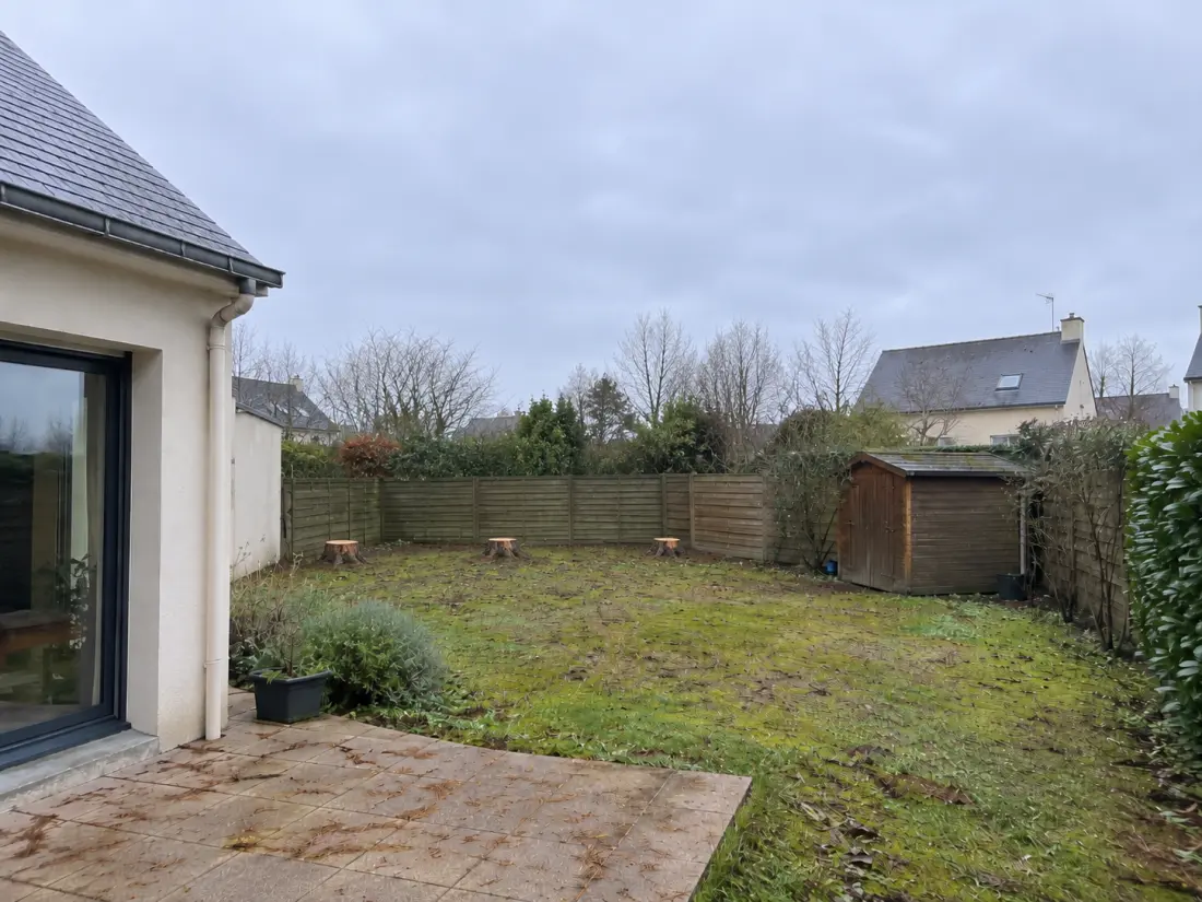 Jardin dégagé après abattage de grands conifères